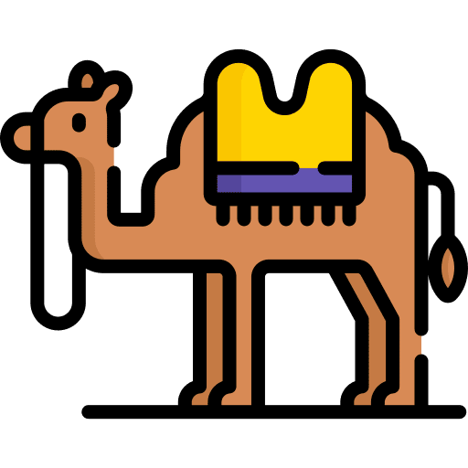 Camel transport desert animal kingdom icon
