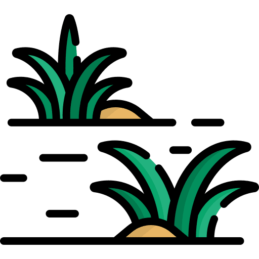 Grass sand plant wild flower icon