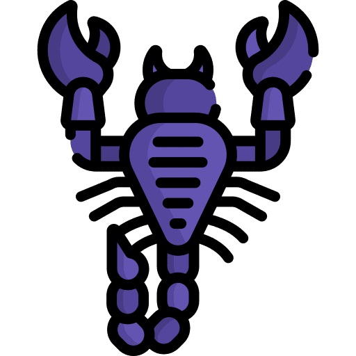 Scorpion animal kingdom arachnid scorpion icon