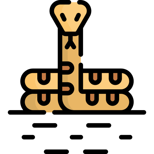 Snake animal kingdom wildlife animal icon