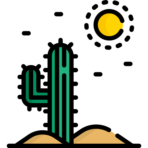 Cactus botanical cactus dry icon
