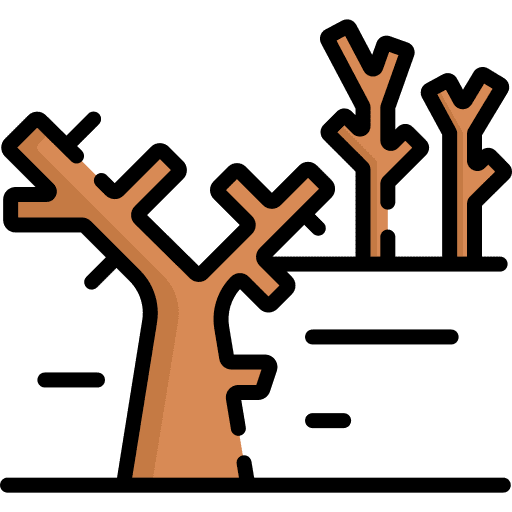 Dry tree desert dry tree desertification icon