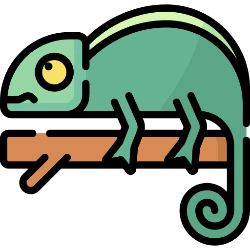 Chameleon animals reptile chameleon icon