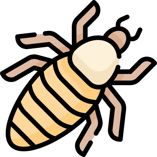 Lice parasite insect animals icon