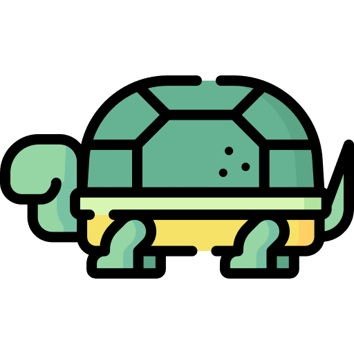 Turtle animal kingdom turtle animals icon Turtle animal kingdom turtle animals icon