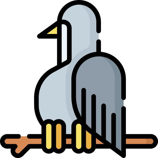 Bird animals wildlife zoo icon Bird animals wildlife zoo icon