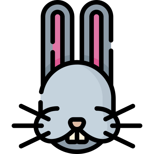 Rabbit zoology fauna pets icon Rabbit zoology fauna pets icon