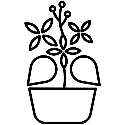 Plant ixora flowers nature icon