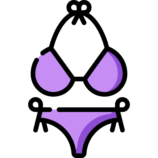 Bikini underwear fashion clothes icon