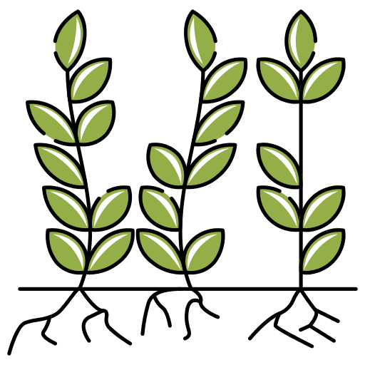 Harvest nature harvest farming and gardening icon