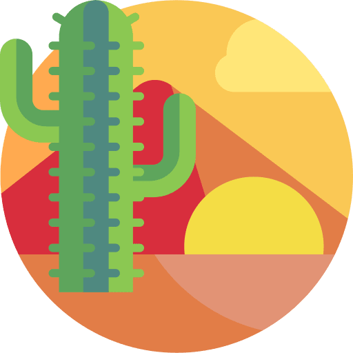 Sahara warm desert cactus icon