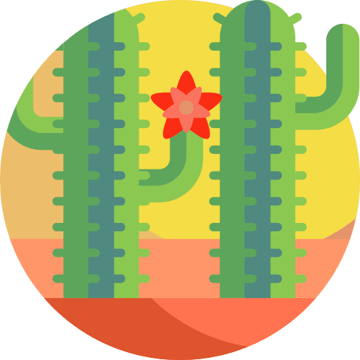Cactus plant cactus desert icon Cactus plant cactus desert icon