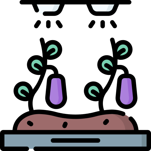 Vegetable vegetable eggplant agriculture icon