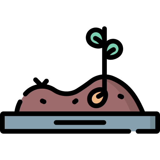 Sprout nature plant sprout icon