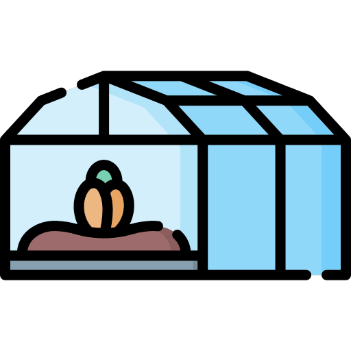 Sprout sprout agriculture greenhouse icon