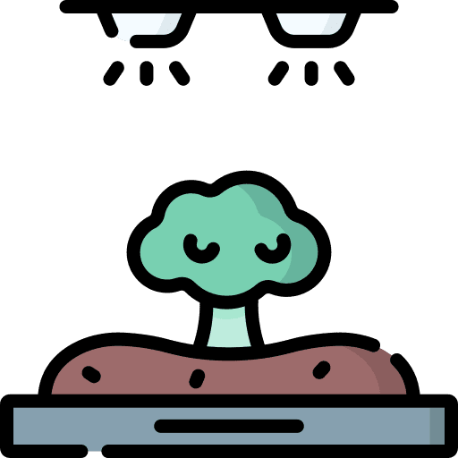 Vegetable plant lamp broccoli icon