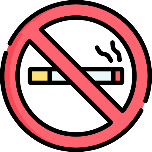 No smoking forbidden no smoke cigarette icon