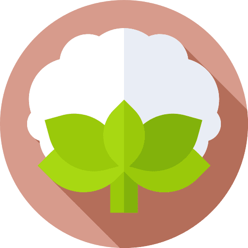 Cotton agriculture plant botanical icon