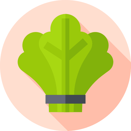 Spinach vegetable spinach vegan icon Spinach vegetable spinach vegan icon