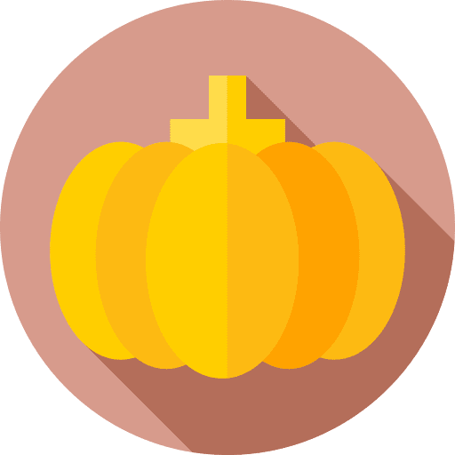 Pumpkin pumpkin organic vegetarian icon Pumpkin pumpkin organic vegetarian icon
