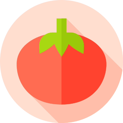 Tomato fruit healthy food vegetarian icon Tomato fruit healthy food vegetarian icon