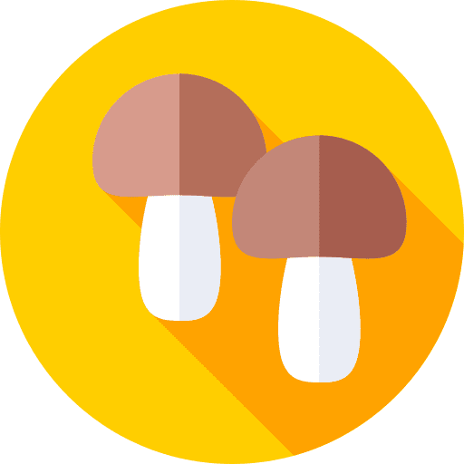 Mushroom organic vegetarian muscaria icon Mushroom organic vegetarian muscaria icon