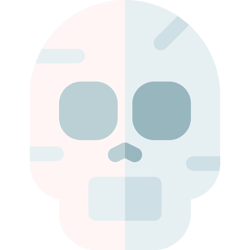 Skull security skull body icon