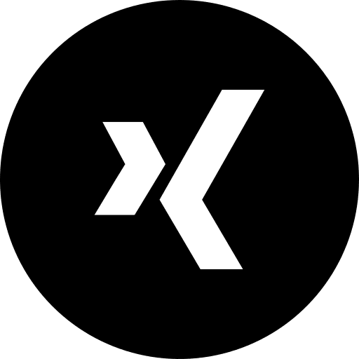 Xing social media brands and logotypes brand icon