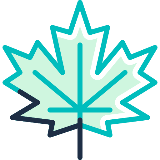 Maple leaf botanical nature season icon Maple leaf botanical nature season icon