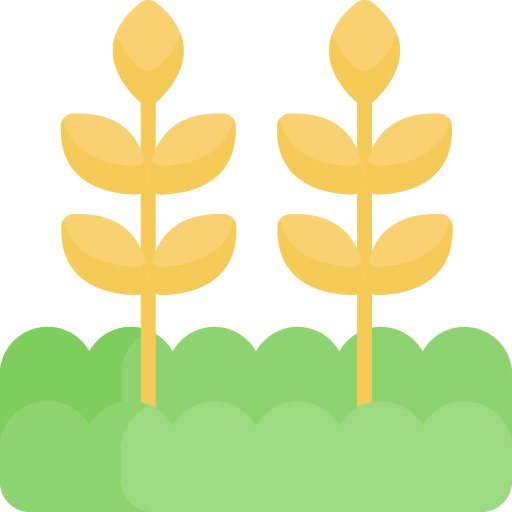 Wheat branch farming and gardening agriculture icon Wheat branch farming and gardening agriculture icon