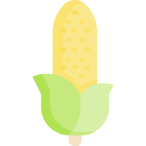 Corn corn healthy food vegan icon Corn corn healthy food vegan icon