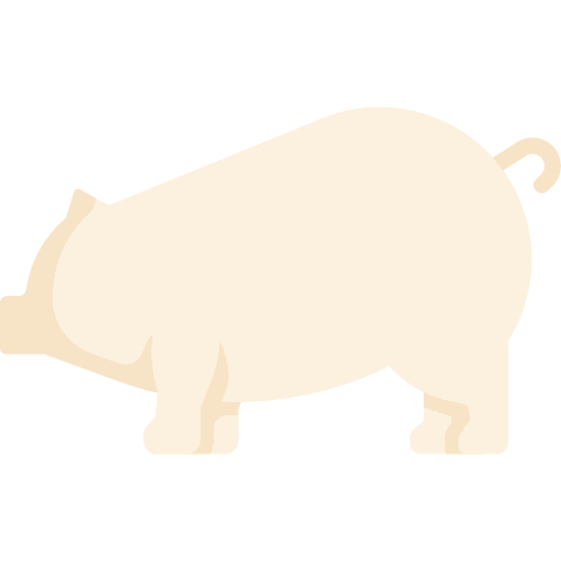 Pig fauna pets animal kingdom icon Pig fauna pets animal kingdom icon