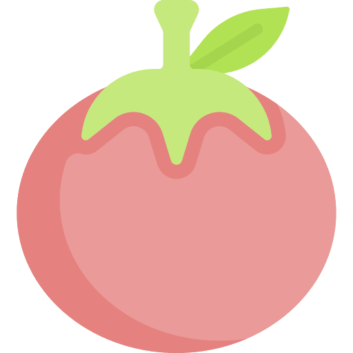 Tomato healthy food tomato vegetarian icon Tomato healthy food tomato vegetarian icon