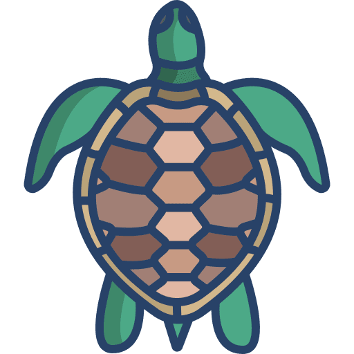 Turtle reptile zoo aquarium icon Turtle reptile zoo aquarium icon