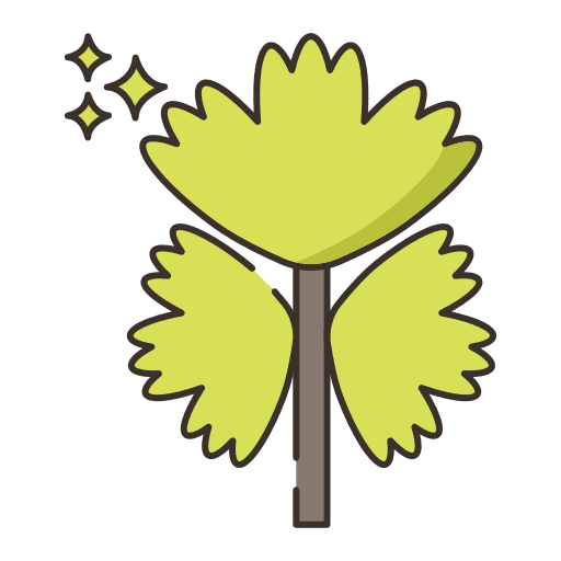 Coriander food and restaurant nature nutrition icon