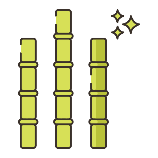 Sugar cane botanical nature sugar cane icon