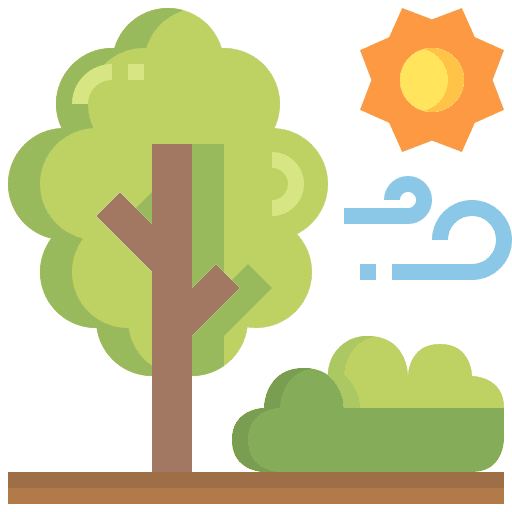 Forest pines weather forest icon