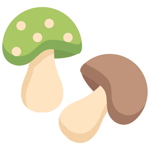 Mushroom vegetable spores mushroom icon