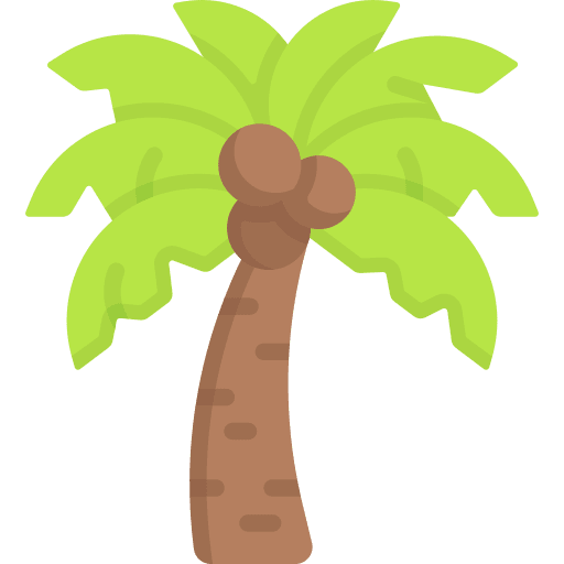 Coconut tree plant tropical botanical icon