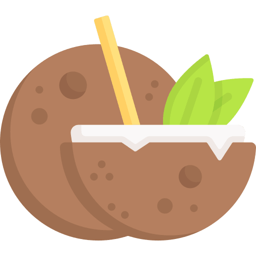 Coconut healthy nutrition diet icon Coconut healthy nutrition diet icon