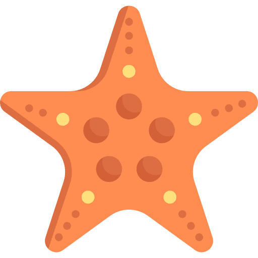 Starfish animals aquatic sea life icon Starfish animals aquatic sea life icon