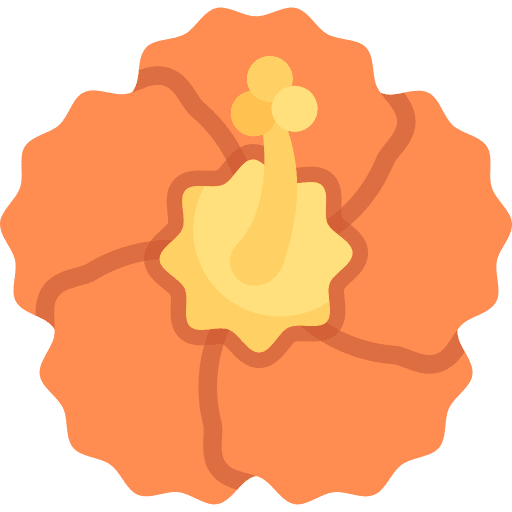 Hibiscus flower petals nature icon Hibiscus flower petals nature icon