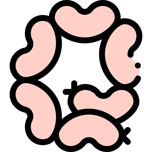 Sausages ham food and restaurant pork icon