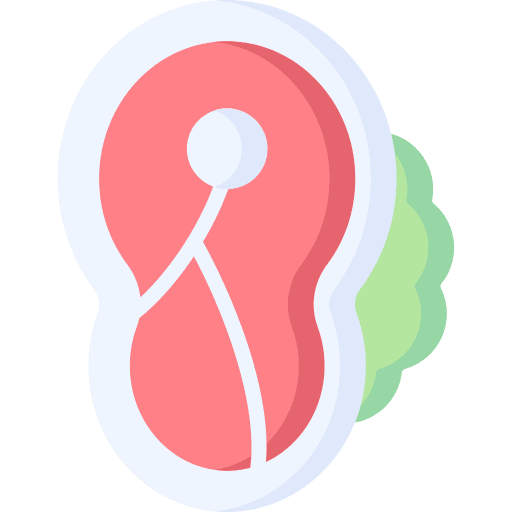 Steak barbecue meat steak icon Steak barbecue meat steak icon