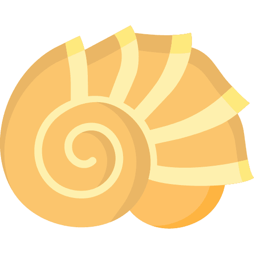 Conch shell animal shell conch shell icon