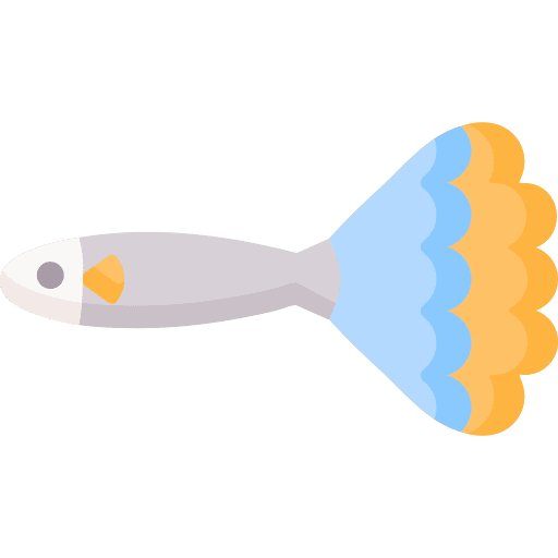 Guppy animal animals sea icon Guppy animal animals sea icon