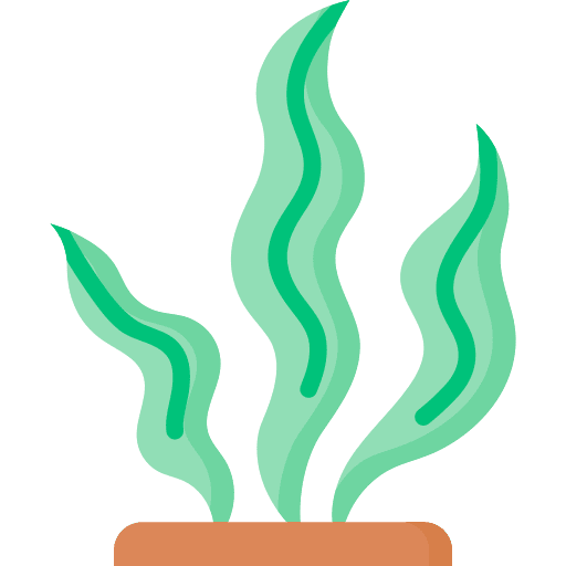 Seaweed aquarium algae nature icon