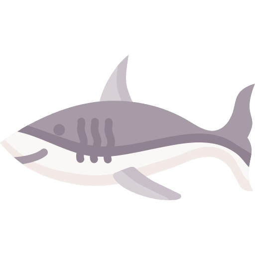 Shark wild life sea life wild animals icon