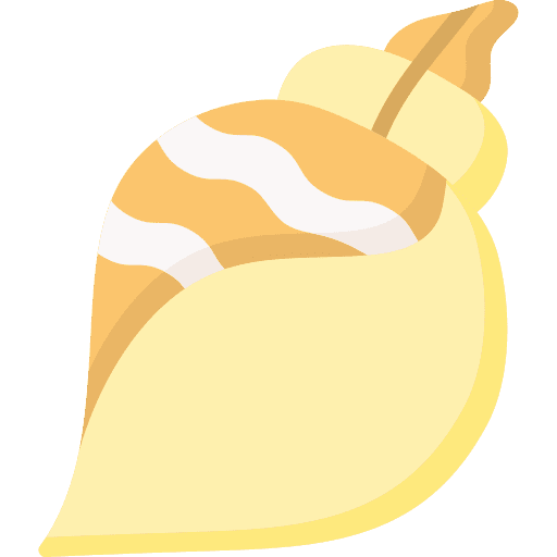 Shell conch shell shell aquarium icon