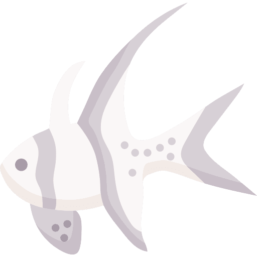 Banggai cardinalfish animal sea animals icon Banggai cardinalfish animal sea animals icon